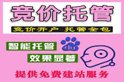 SEM账户托管助力企业营销案例